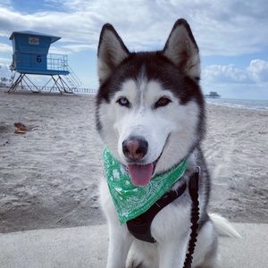 Meet your Posher, Erica